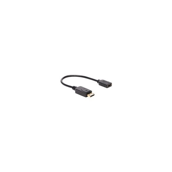 EATON-TRIPPLITE-DisplayPort-to-HDMI-Video-Adapter-Video-Converter-M/F-HDCP-Black-1ft.