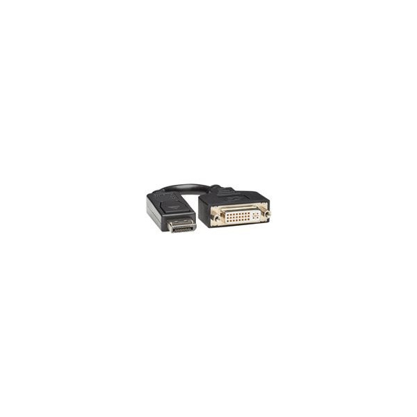 EATON-TRIPPLITE-DisplayPort-to-DVI-I-Adapter-Cable-M/F-6p-15.2cm