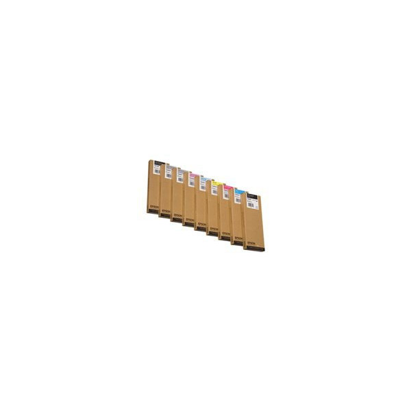EPSON-T6067-cartouche-dencre-noir-clair-capacitï¿½-standard-220ml-pack-de-1