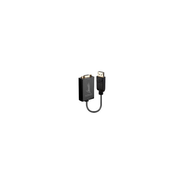 LINDY-Convertisseur-Actif-DisplayPort-vers-VGA