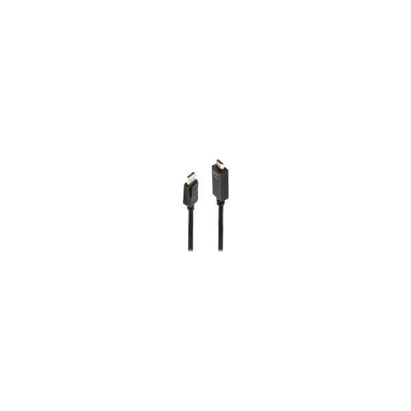 LINDY-Cï¿½ble-DisplayPort-vers-HDMI-4K30-DP:passif-3m
