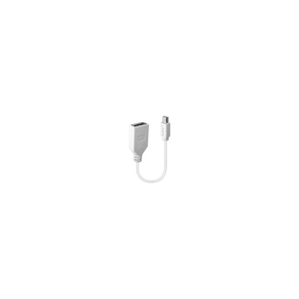 LINDY-Cï¿½ble-adaptateur-Mini-DP-M-vers-DP-F-Premium-blindï¿½