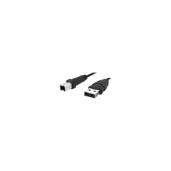 BELKIN-Cï¿½ble-USB-pour-Dispositifs-A/B-x-A/B-DSTP-plug-and-play-1.8m-Noir