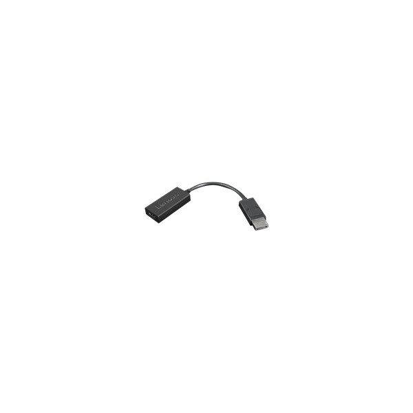 LENOVO---Adaptateur-vidï¿½o---DisplayPort-mï¿½le-pour-HDMI-femelle---22.5-cm---noir---support-4K
